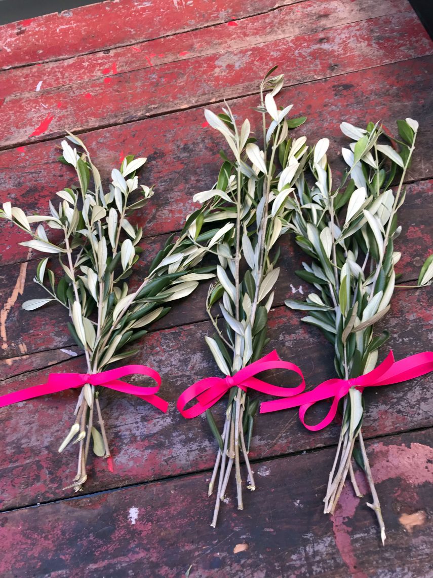 palm-sunday-olive-branches - Discover Tuscany Blog