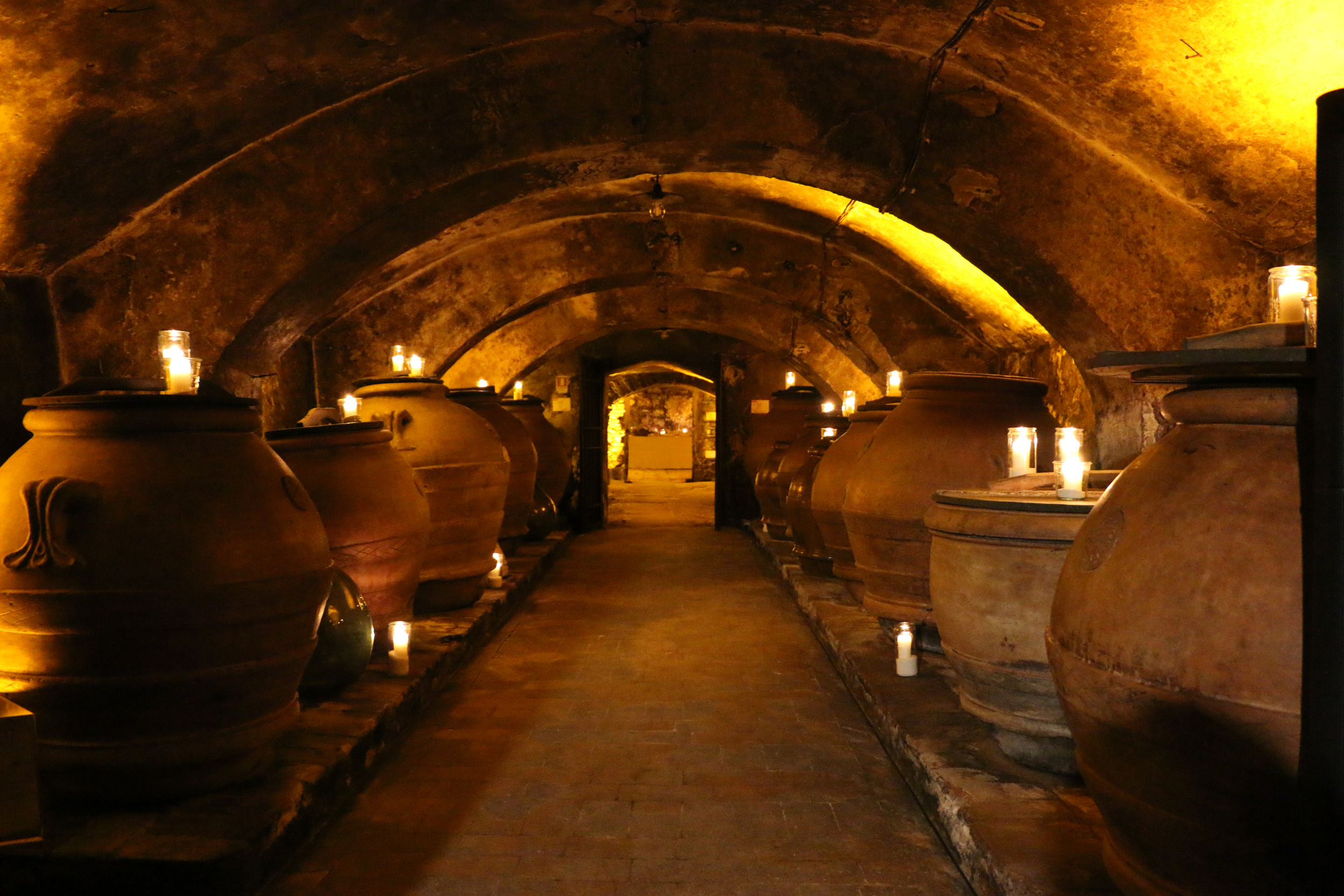 olive-oil-cellar - Discover Tuscany Blog