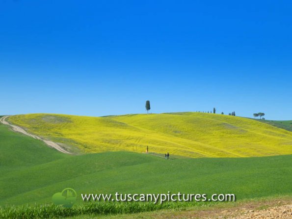 Val d'Orcia