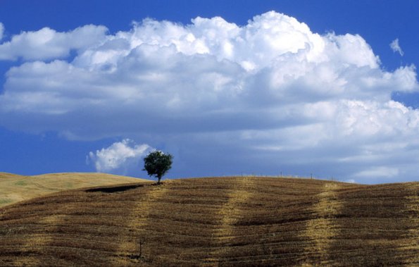 Europe, Italy, Val d'Orcia